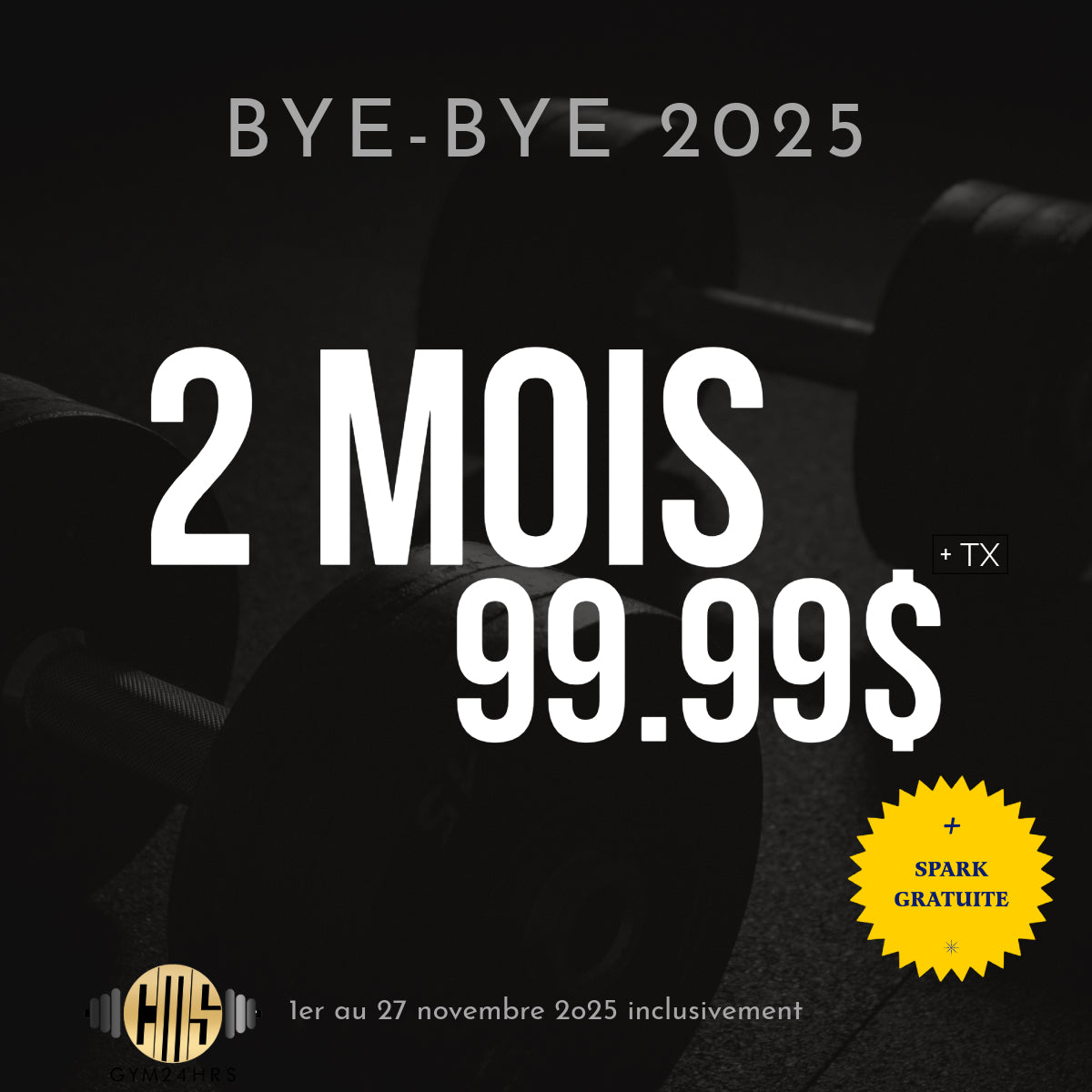 Promotion | 2 mois novembre + Spark