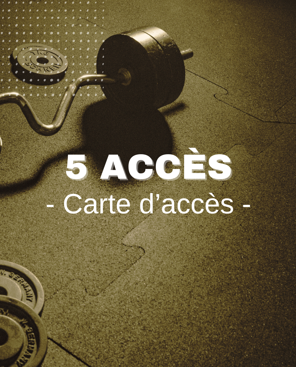 Carte de 5 accès